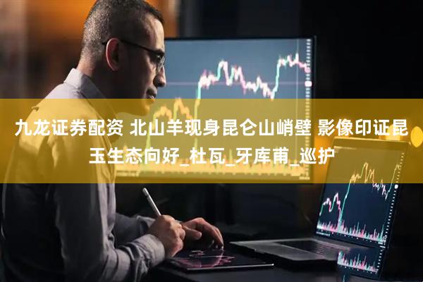 九龙证券配资 北山羊现身昆仑山峭壁 影像印证昆玉生态向好_杜瓦_牙库甫_巡护